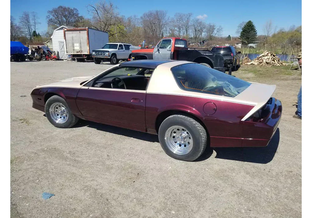 Tamco Paint Ron Burgundy Pearl in Chevrolet Camaro Z28