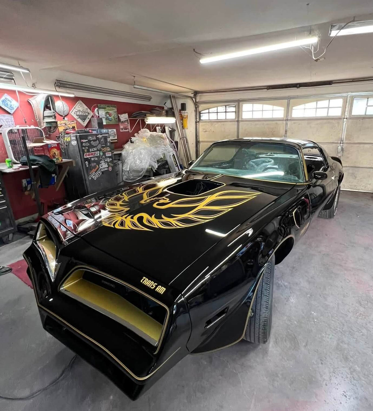 Tamco Paint AG Series Single Stage AG900 Jet Black on Pontiac Firebird