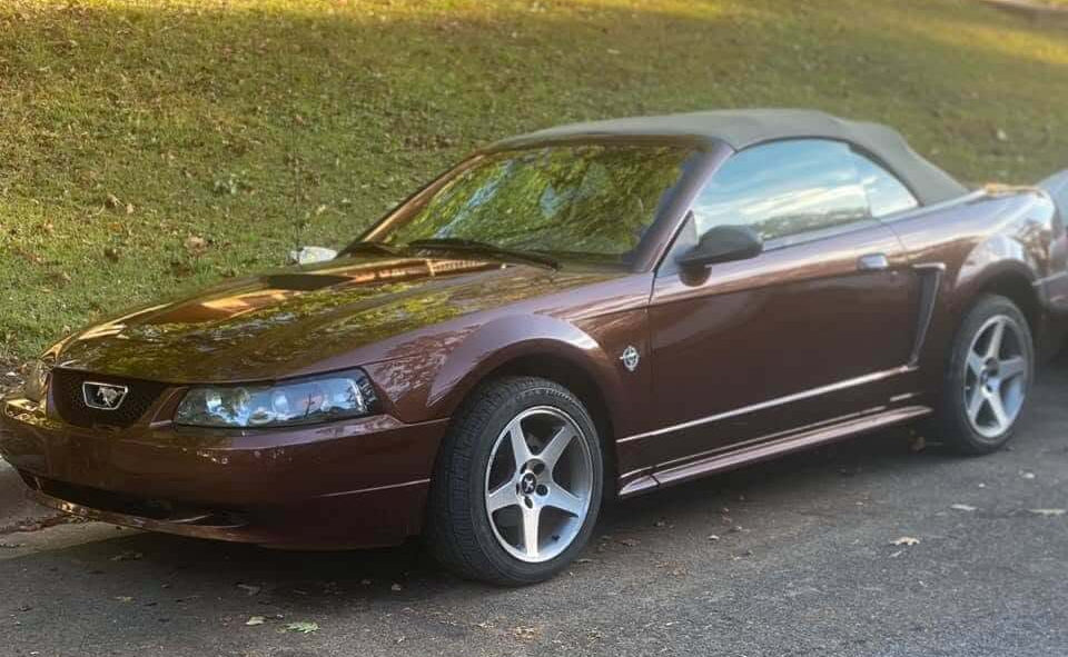 Tamco Paint Dirtbag Brown in 2004 Ford Mustang