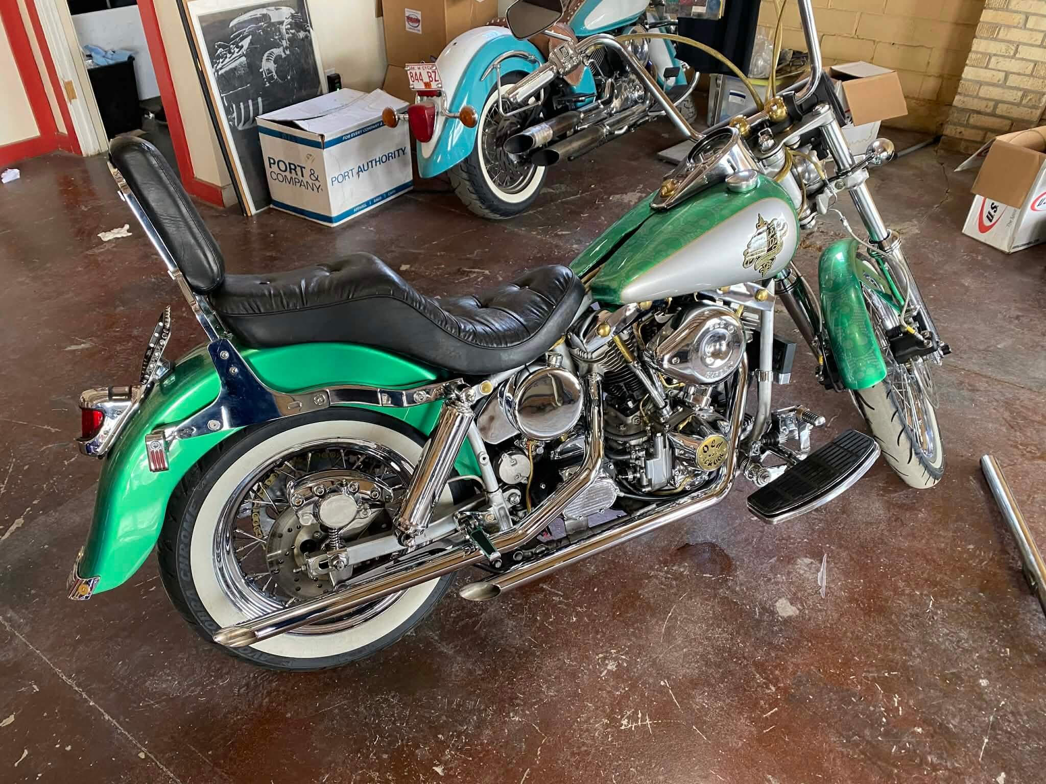 Tamco Paint Poison Ivy on 1974 Harley-Davidson FLH Electra Glide