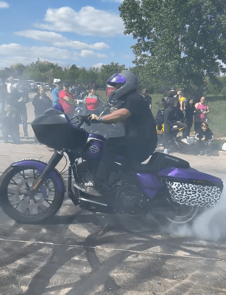 Tamco Paint Purple Pop Pearl on Harley Davidson Bagger