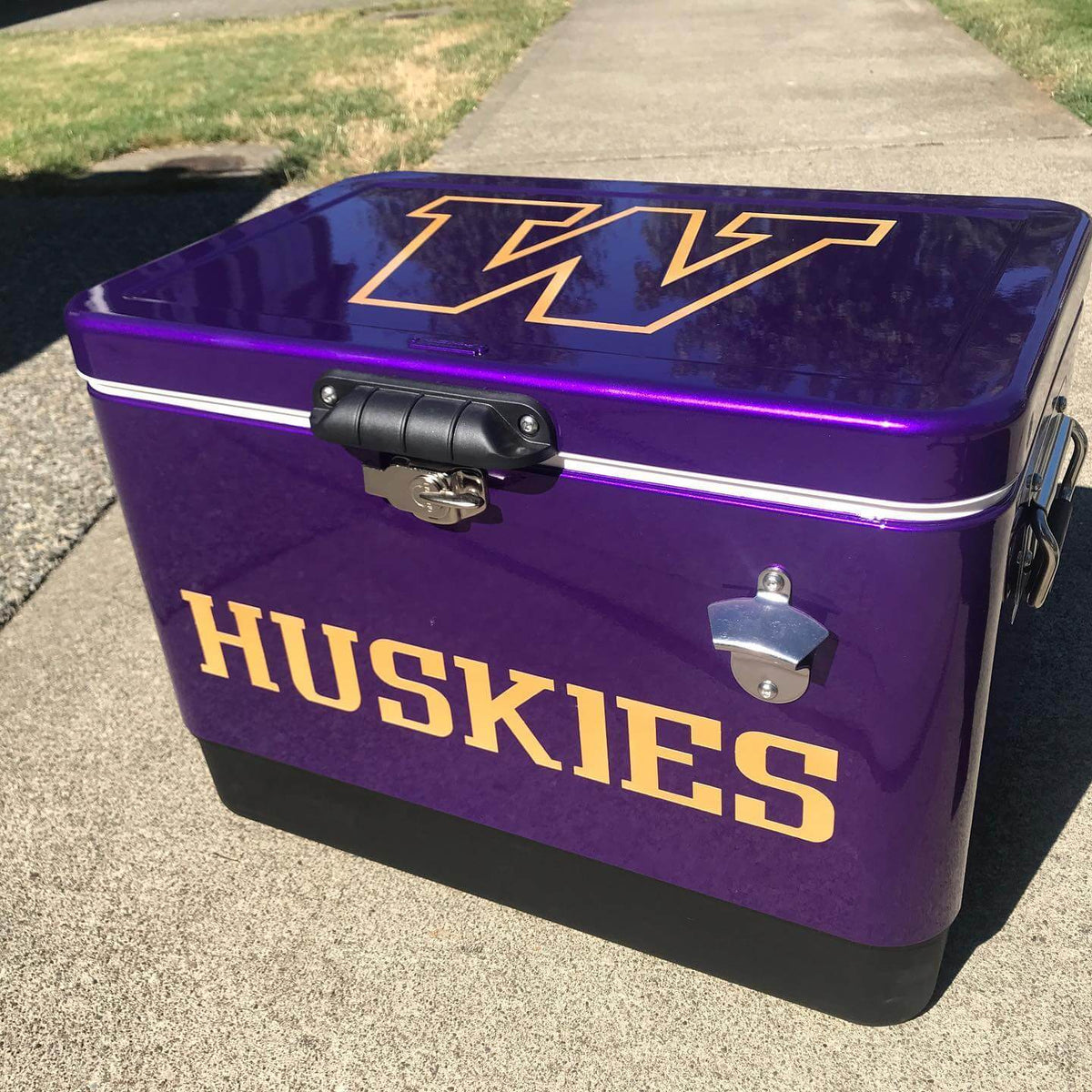 Tamco Paint Purple Pop Pearl on Cooler