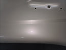 Tamco Paint blizzard of ozz white