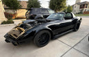 Tamco Paint Chevrolet Corvette Murdered Out Black