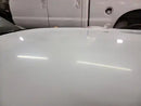 Tamco Paint blizzard of ozz white pearl