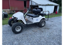 Tamco Paint EZGO TXT Smoke Metallic