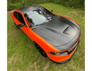 Tamco Paint Tiger Lily in 2018 Dodge Charger RT