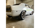 Tamco Paint Blizzard of Ozz Blue Pearl Project Photos