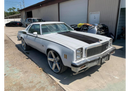 Tamco Paint Blizzard of Ozz Blue Pearl Project Photos