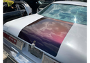 Tamco Paint Blizzard of Ozz Blue Pearl Project Photos