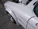 Tamco Paint Blizzard of Ozz White Pearl in Ford Falcon