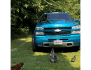 Tamco Paint Caribbean Current Pearl in 2007 Chevrolet Silverado