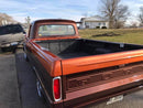 Dirtbag Brown 1965 Ford F250