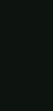 Tamco Paint Customer Color Evergreen Black