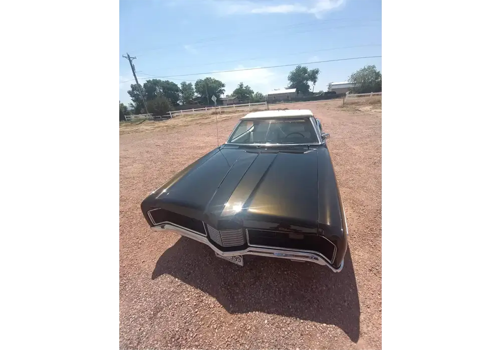 Tamco Paint Ford Dark Ivy Green Pearl OEM in 1970
