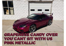 Tamco Paint Mitsubihi 3000 GT You Can't Sit With Us Pink