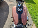Tamco Paint Ghosted Cranberry in Harley-Davidson Dyna Glide
