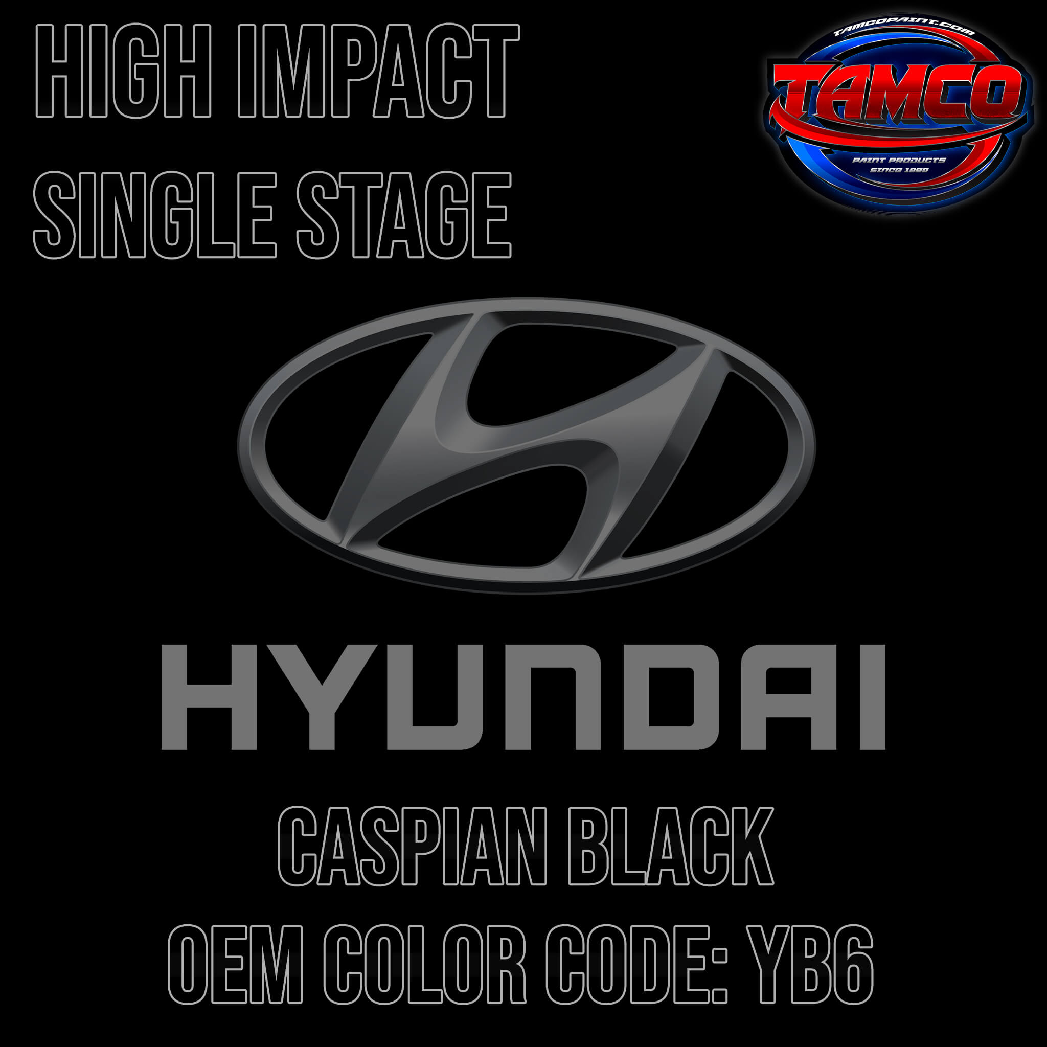 Hyundai Caspian Black