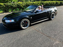 Tamco Paint 2000 Ford Mustang Murdered Out Black