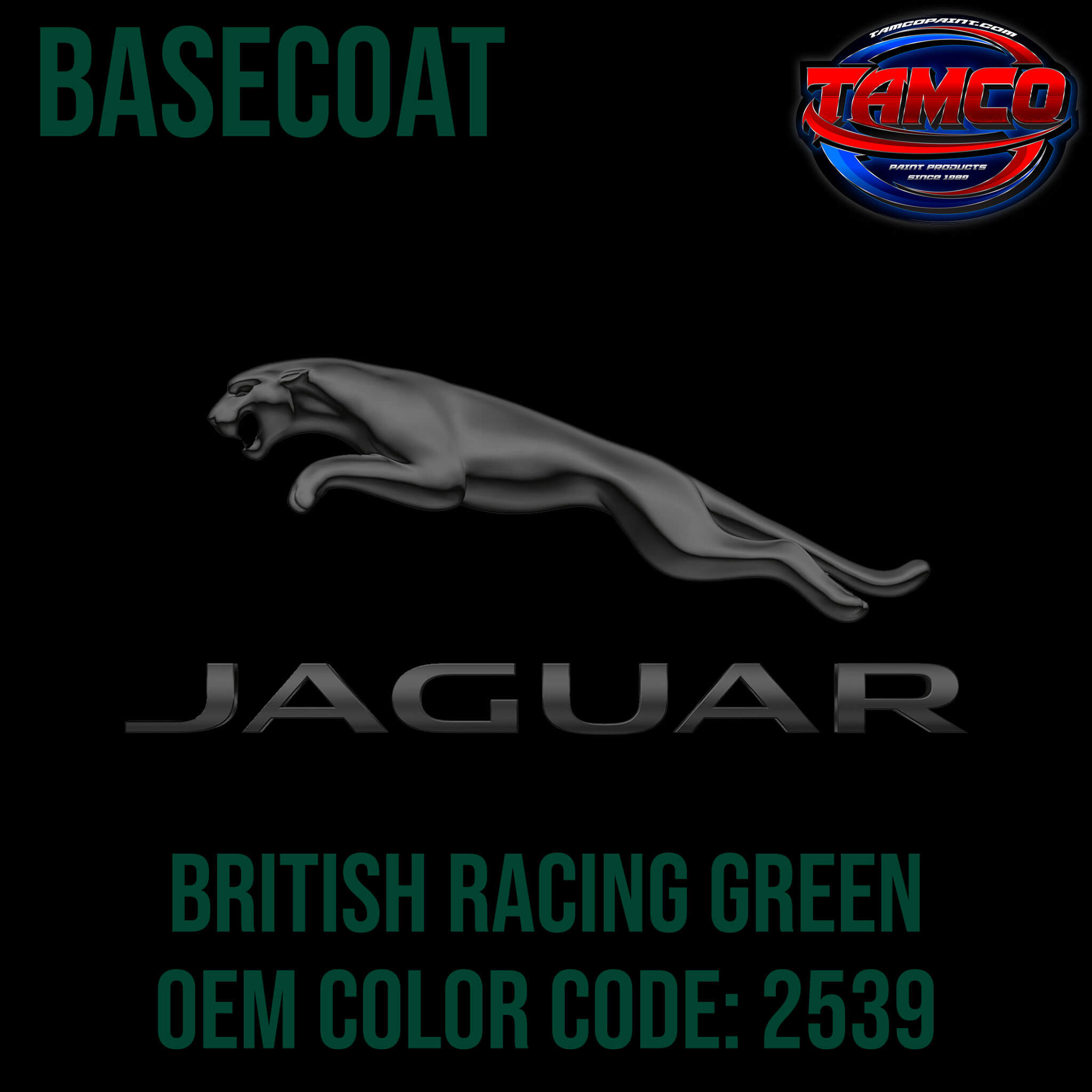 優待特典一覧 2539 | Green Racing British Jaguar | Basecoat OEM | 1955-1969 その他