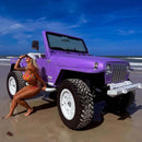 Tamco Paint Lavender Lust Pearl in Jeep Wrangler