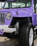 Tamco Paint Lavender Lust Pearl in Jeep Wrangler