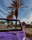 Tamco Paint Lavender Lust Pearl in Jeep Wrangler