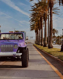 Tamco Paint Lavender Lust Pearl in Jeep Wrangler