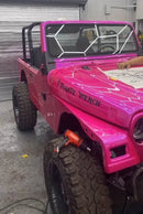 Tamco Paint Jeep Wrangler Lipstick