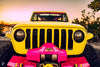Tamco Paint Lipstick in Jeep Wrangler