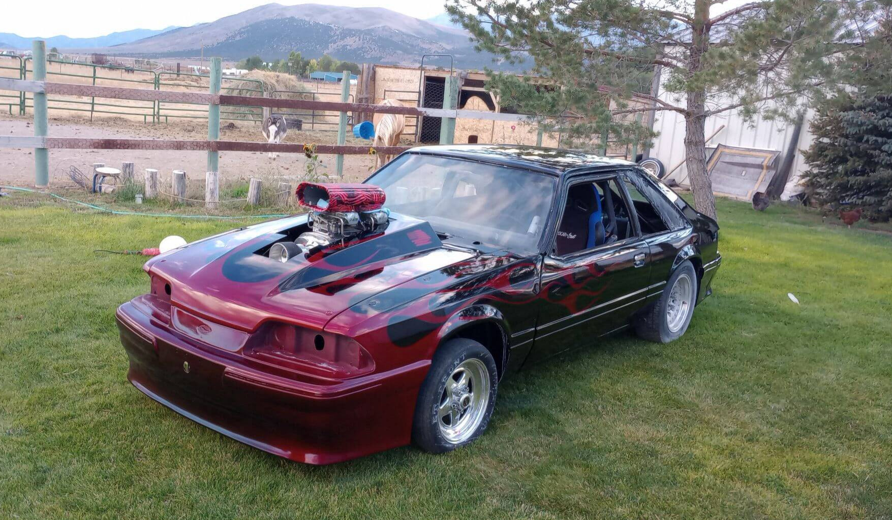 Tamco Paint Murdered Out Black 2.0 in Foxbody Ford Mustang