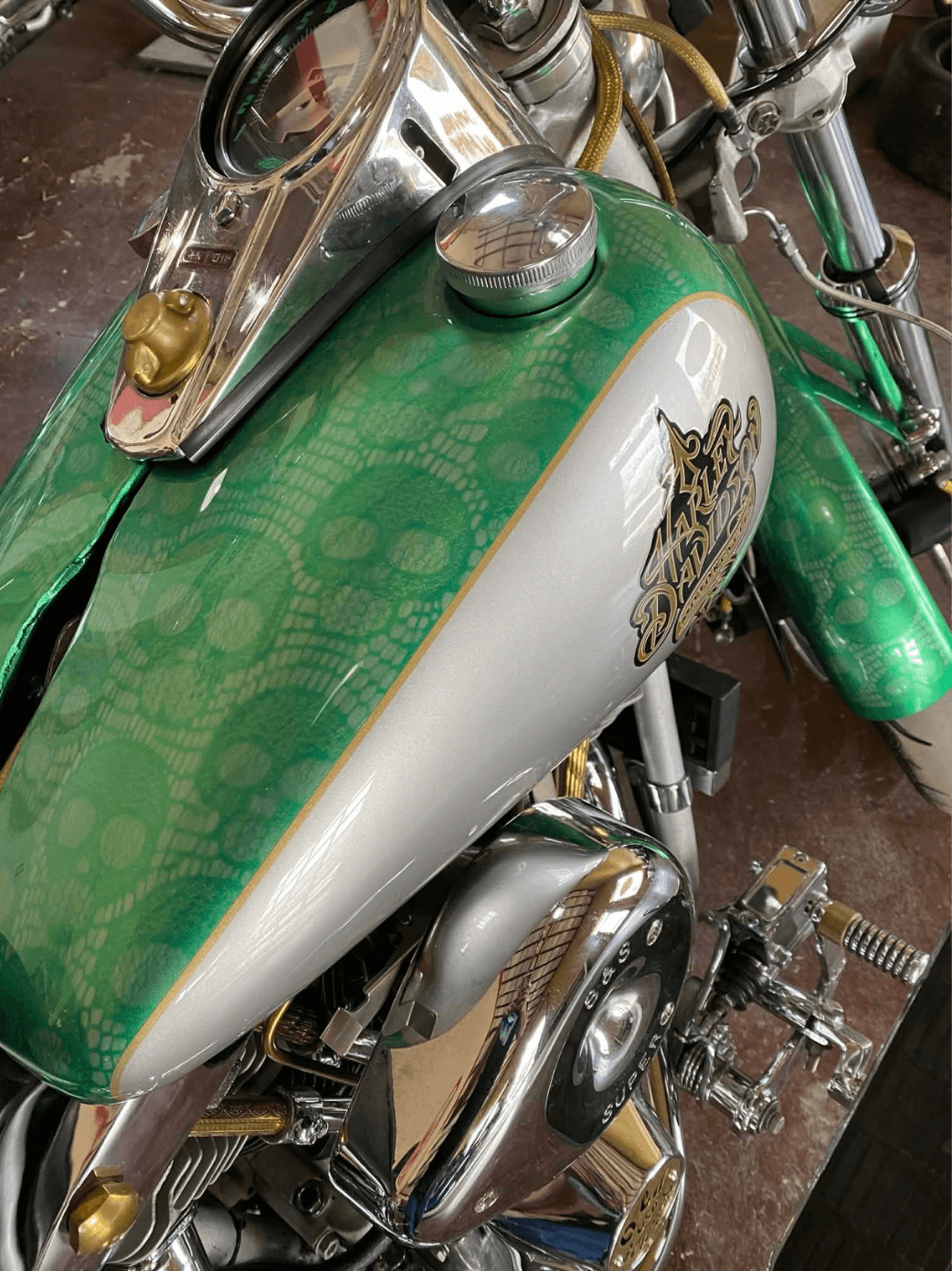 Tamco Paint Poison Ivy on 1974 Harley-Davidson FLH Electra Glide