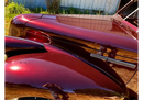 Tamco Paint Car Parts Ron Burgundy Pearl