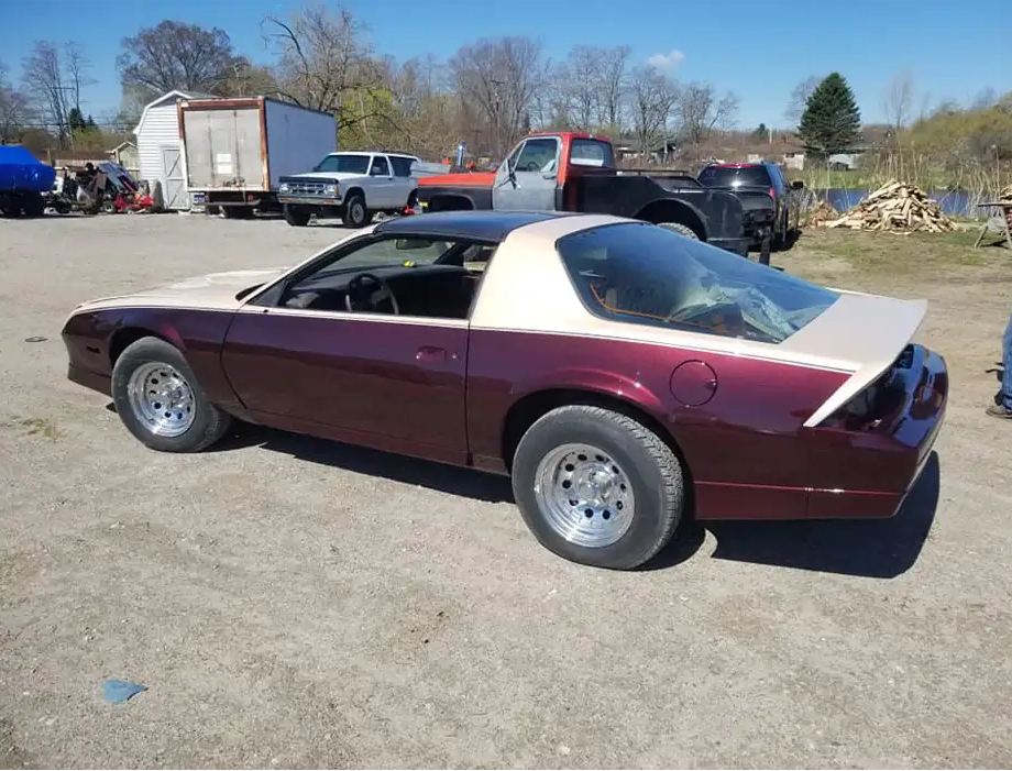 Tamco Paint Chevrolet impala Ron Burgundy Pearl