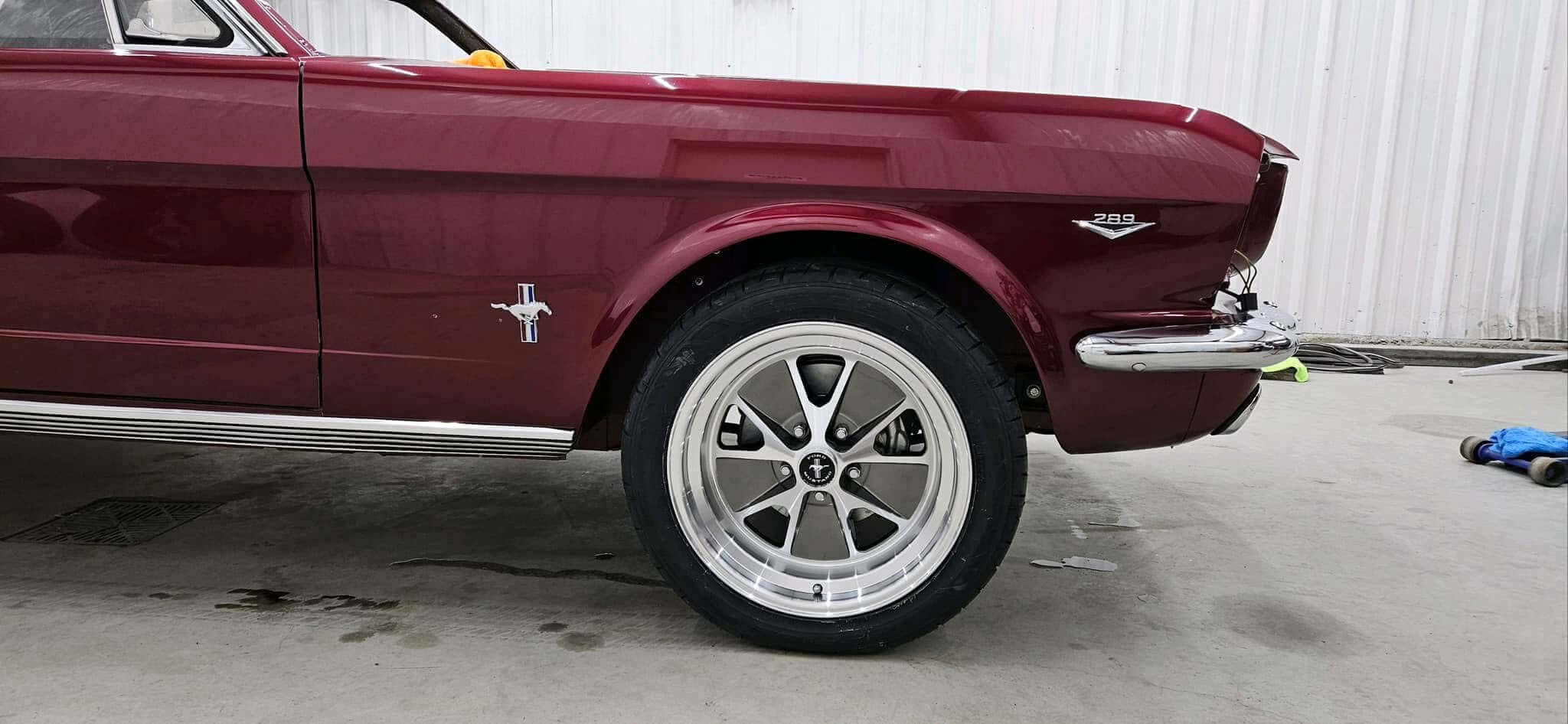 Tamco Paint Sangria on Ford Mustang