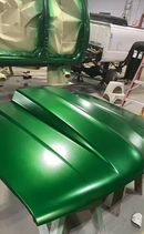 Tamco Paint   Car parts  Shamrock Green
