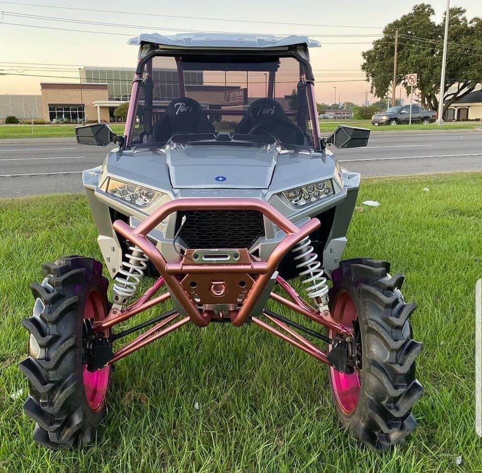 Tamco Paint Slick Silver Metallic in 2016 Polaris RZR