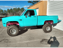 Tamco Paint Rockin Robin in 2002 Chevrolet C/K Pick Up Truck