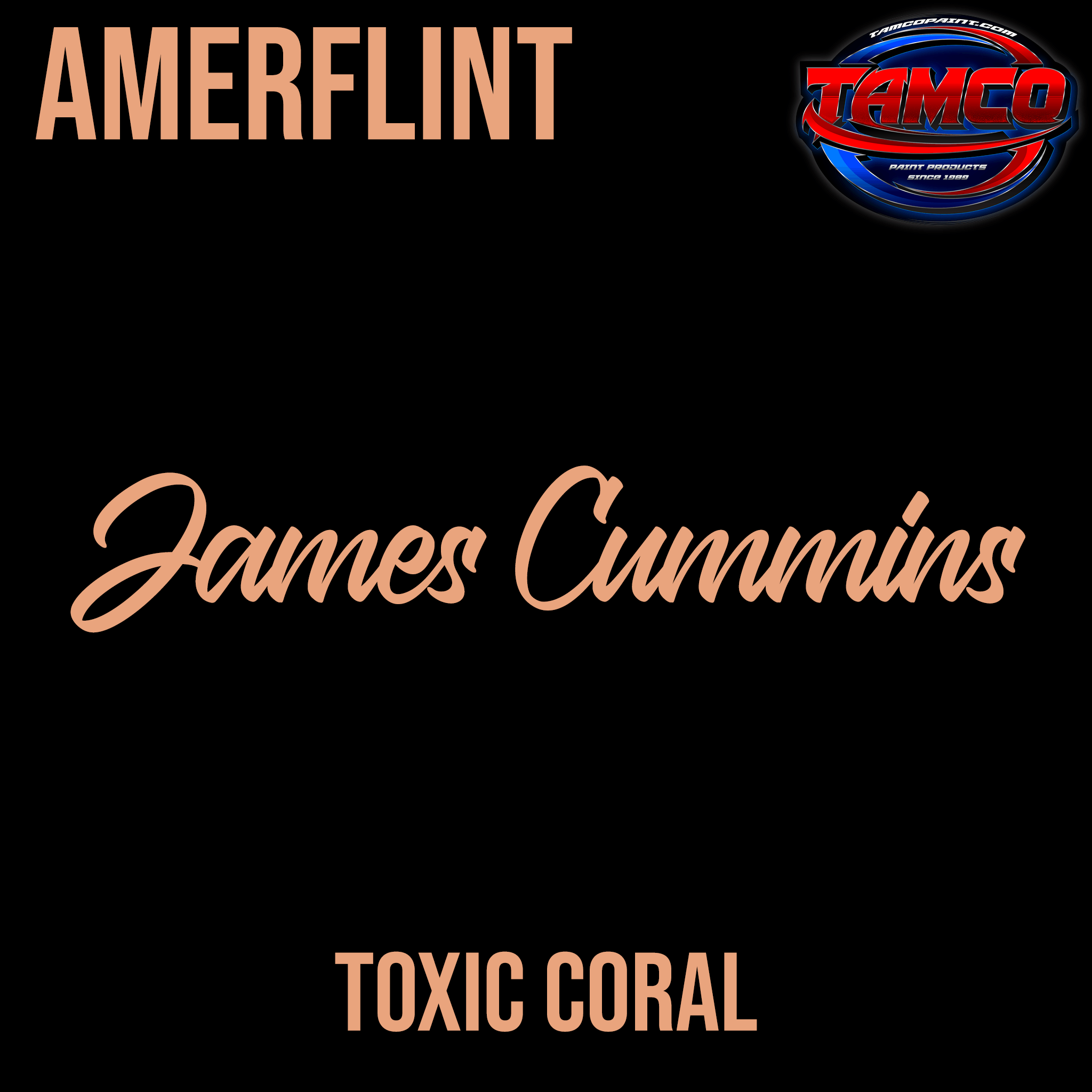 Tamco Paint Customer Color Toxic Coral Amerflint