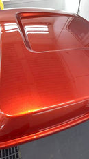 Tamco Paint Car Part Toxic Sunburst