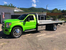 Tamco Paint 1999 Dodge Dakota Toxicity