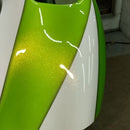 Tamco Paint Motorcycle Part Toxicity