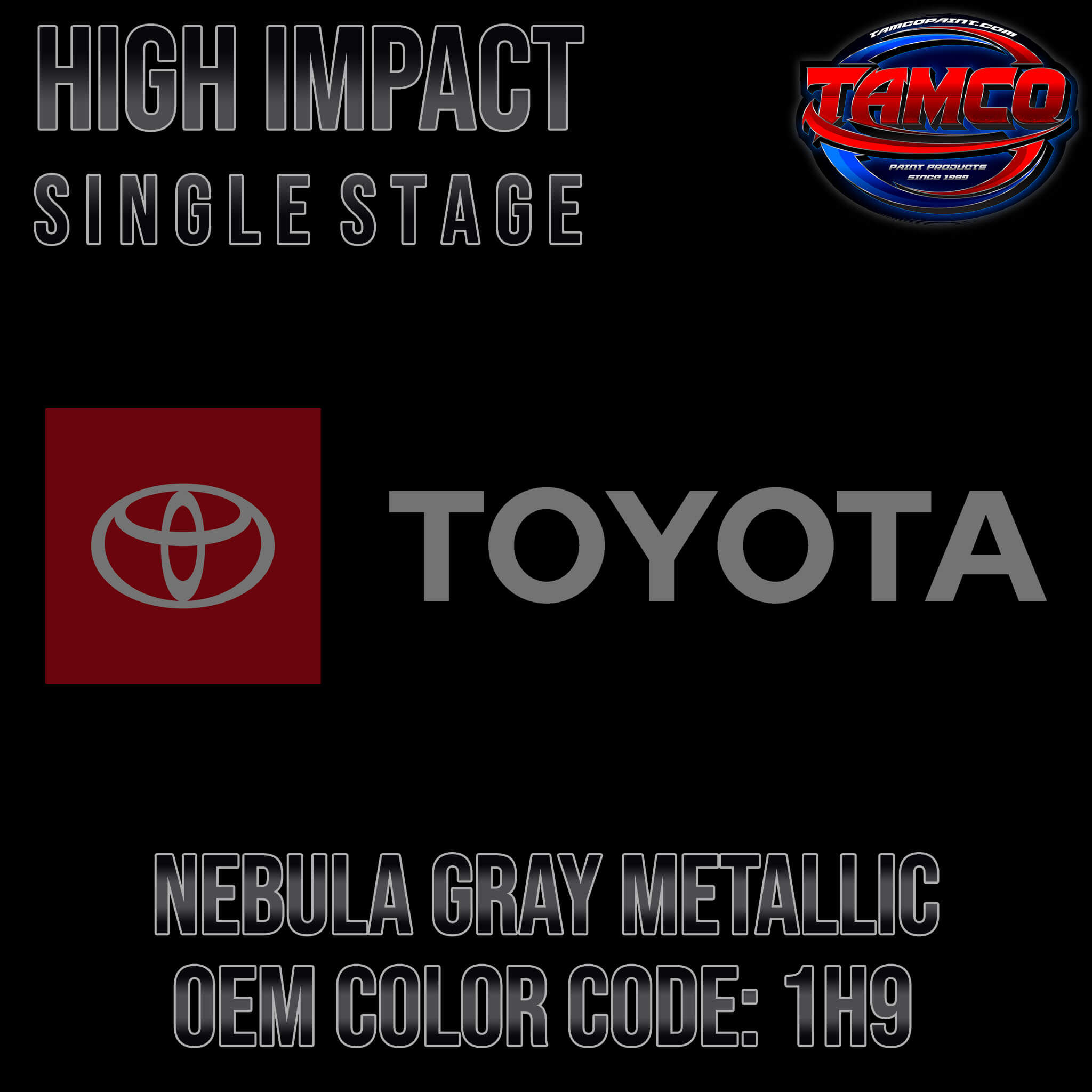 Toyota Nebula Gray Metallic
