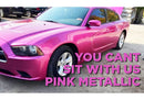 Tamco Paint 2013 Dodge Charger You Cant Sit With Us Pink