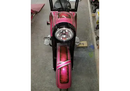 Tamco Paint Harley Davidson You Cant Sit With Us Pink