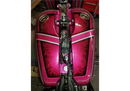 Tamco Paint Harley Davidson You Cant Sit With Us Pink