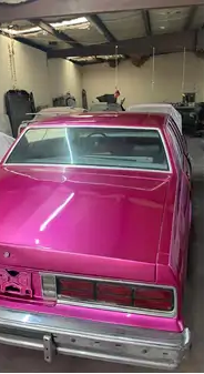 Tamco Paint You Cant Sit With Us Pink on 1973 Chevrolet Caprice
