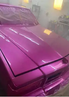 Tamco Paint You Cant Sit With Us Pink on 1973 Chevrolet Caprice
