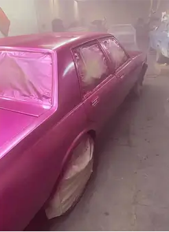 Tamco Paint You Cant Sit With Us Pink on 1973 Chevrolet Caprice