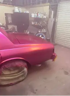 Tamco Paint You Cant Sit With Us Pink on 1973 Chevrolet Caprice